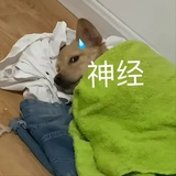 我只是路过