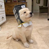 hyh