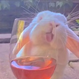 囹
