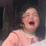 史努比先生
