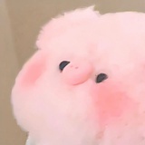 只爱葆葆