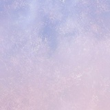 王小花🌸