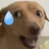 煜书锦年