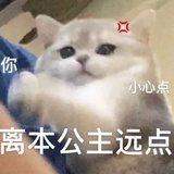 花花🌸