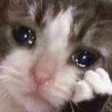 粉白水杯