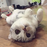 小土豆