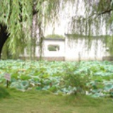 西门
