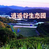 逍遥谷生态园