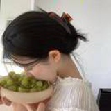猫和春日