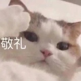 66258