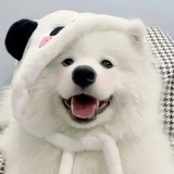 木笔