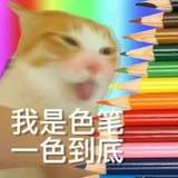 椰椰奶冻