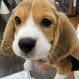 请给我钱钱