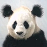 你今天不要懒惰H