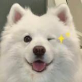 别当真了哦