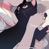 佛系追星人
