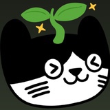 晴天