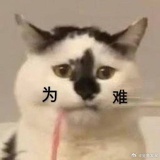 你猜我猜不猜
