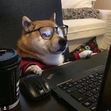 小镇人士