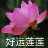 忠于.