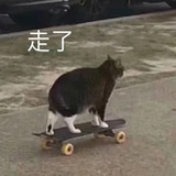 金老师女友
