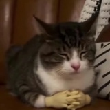 9253711