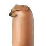 米儿