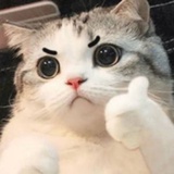 衔霜