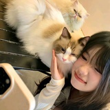 爱吃曲奇