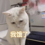 豆友230674333