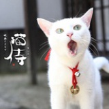 嗷～