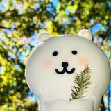 小树🌳