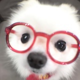 睡个好觉