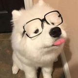 来挽舟