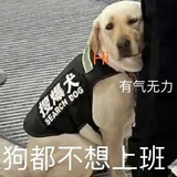 五迷三道