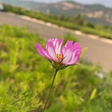 大家好