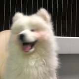 到底叫啥好尼