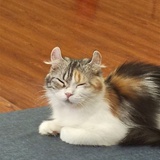 开心点吧