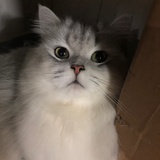 小熊不吃饭