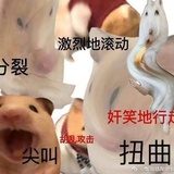 卡比乓
