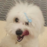 崔哒嘟嘟嘟嘟