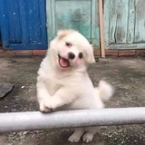 每天都想睡觉