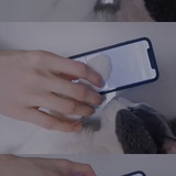 桃子