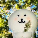 锦书初徠寒烟