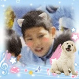 小狗CC_CHIO