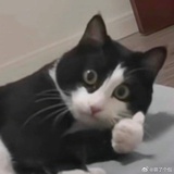 郫县太多挑货了