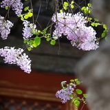 四时美景三餐暖