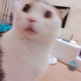 不知道取啥昵称