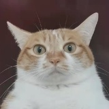 啥啥啥