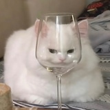 卿卿小宝贝